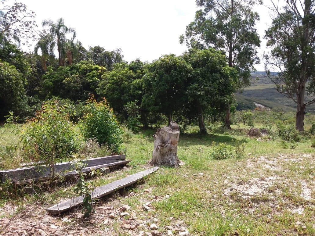 Fazenda, Centro, 0 Quarto, 0 Vaga