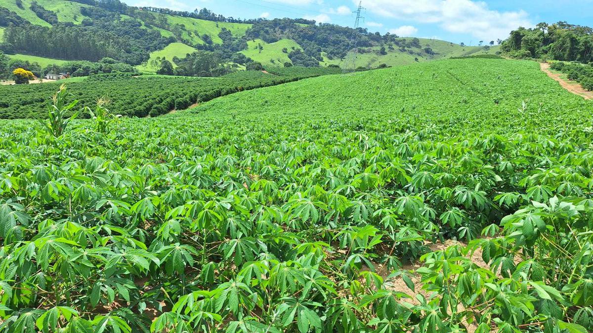 Fazenda, Zona Rural, 3 Quartos, 0 Vaga