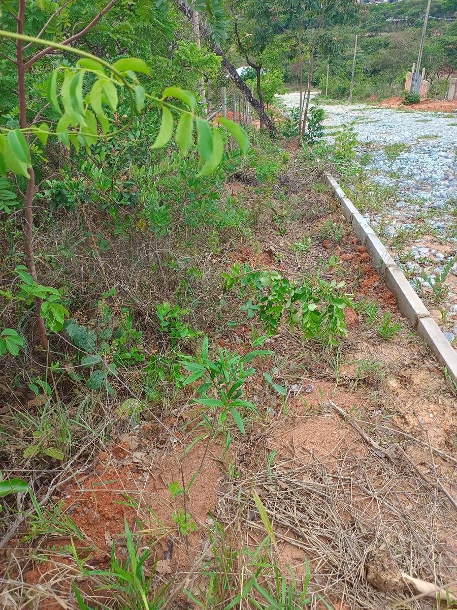 Lote, Tupã, 0 Quarto, 0 Vaga