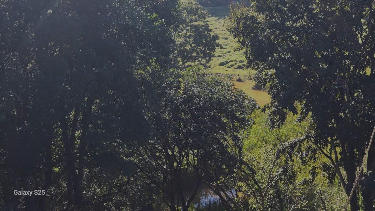 Fazenda, Zona Rural, 0 Quarto, 0 Vaga