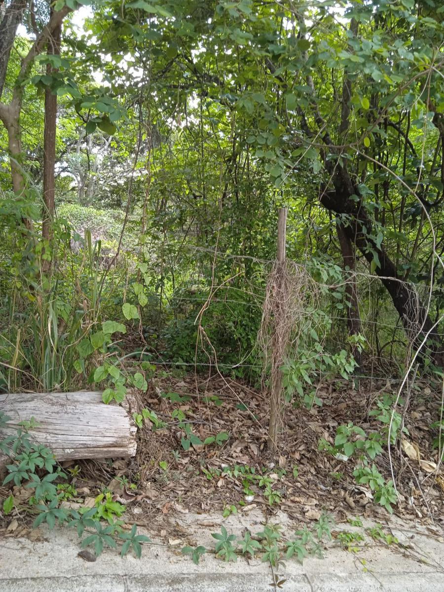 Lote, Vianópolis, 0 Quarto, 0 Vaga