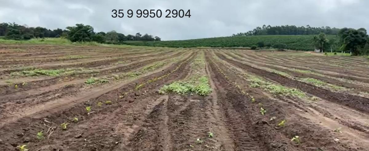 Fazenda, Zona Rural, 0 Quarto, 0 Vaga