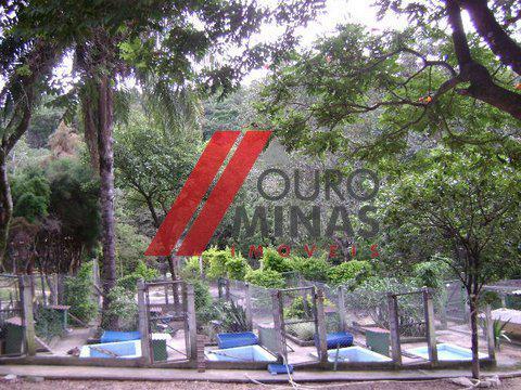 Rural, Recreio dos Bandeirantes, 4 Quartos, 1 Suíte