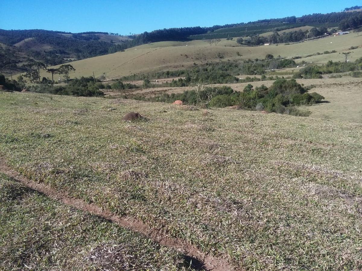 Fazenda, Centro, 3 Quartos, 1 Vaga, 1 Suíte