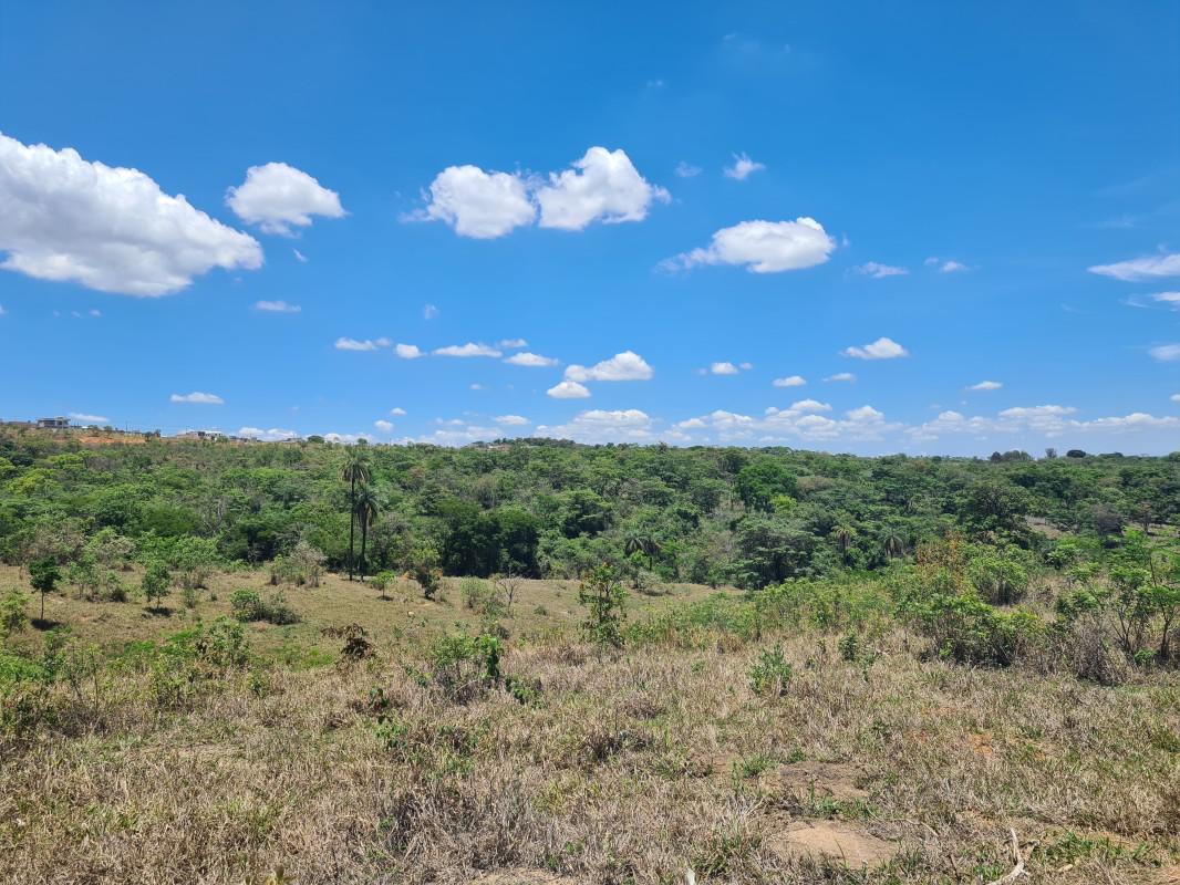 Lote, Novo Retiro, 0 Quarto, 0 Vaga