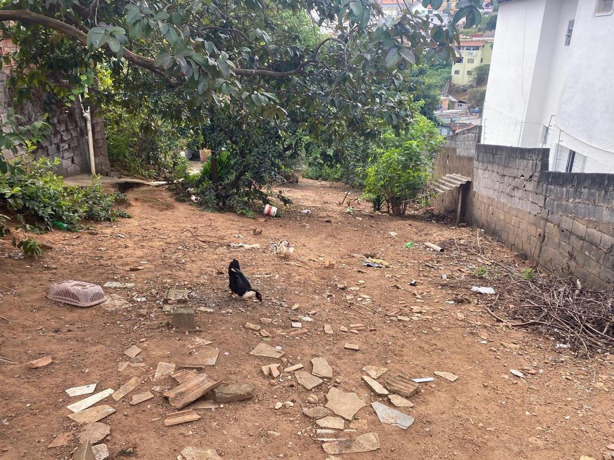 Lote, Três Bicas, 0 Quarto, 0 Vaga