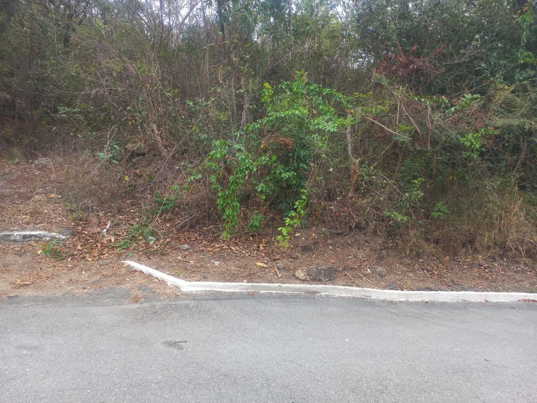 Lote, Gentileza, 0 Quarto, 0 Vaga