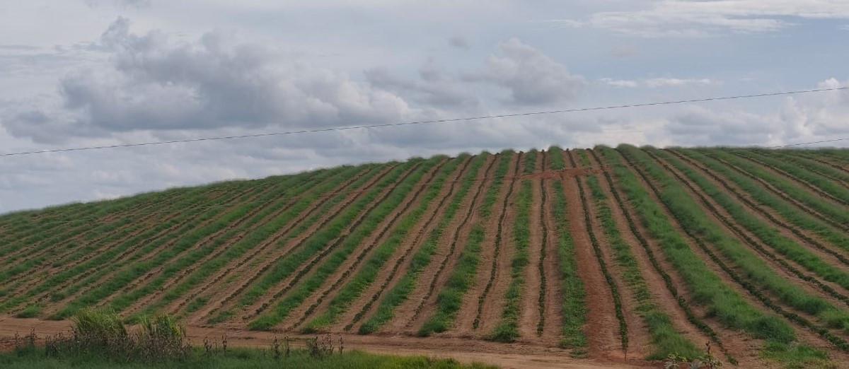 Fazenda, Zona Rural, 0 Quarto, 0 Vaga