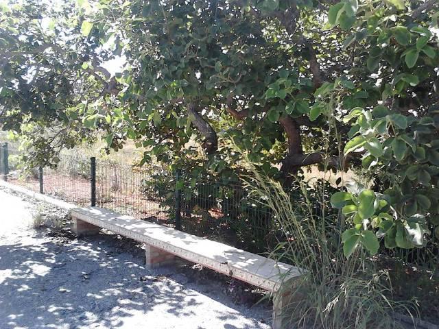 Fazenda, São Jose de Almeida, 0 Quarto, 0 Vaga