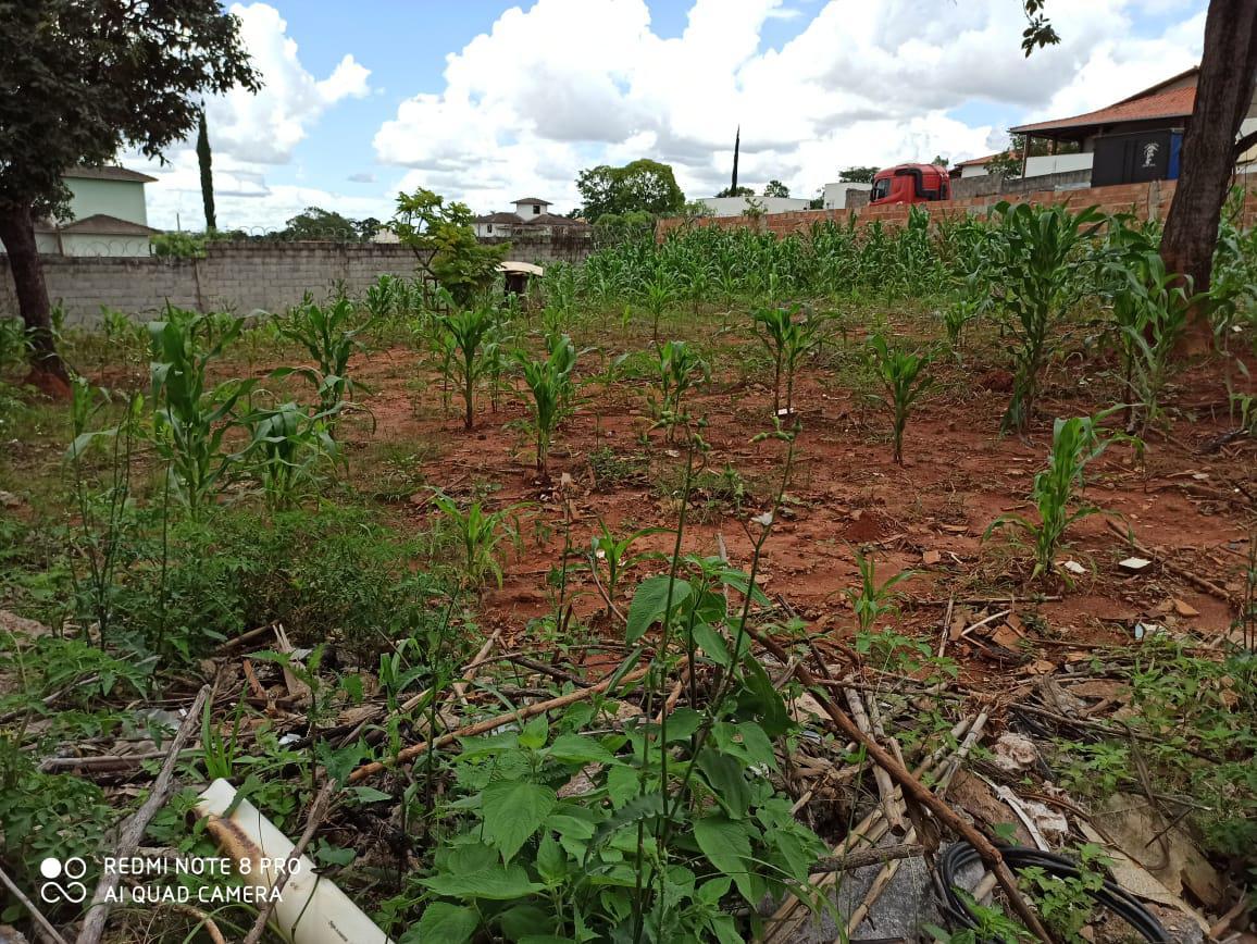 Lote, Bandeirantes (pampulha)