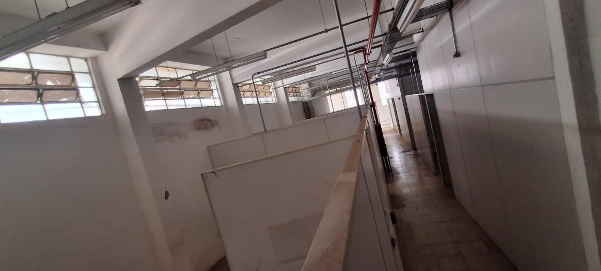 Andar, Floresta, 0 Quarto, 6 Vagas