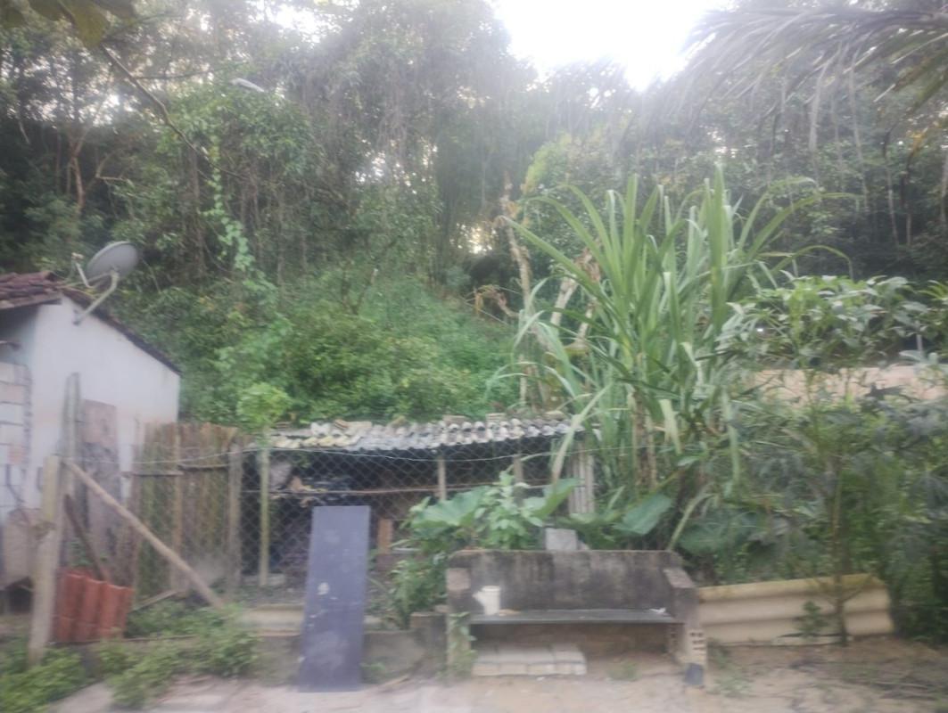 Fazenda, Centro, 0 Quarto, 0 Vaga