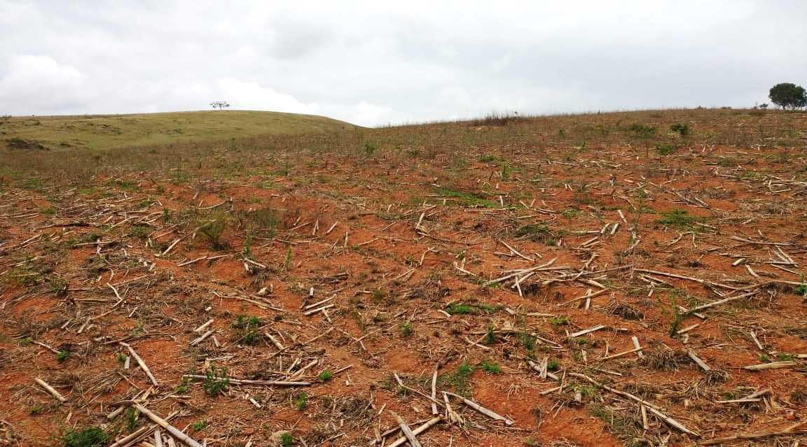 Fazenda, Zona Rural, 3 Quartos, 0 Vaga