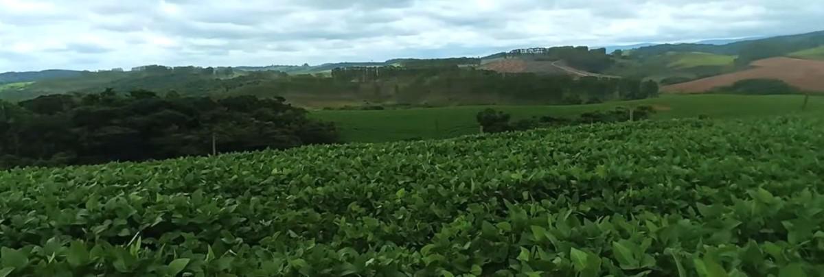 Fazenda, Zona Rural, 0 Quarto, 0 Vaga
