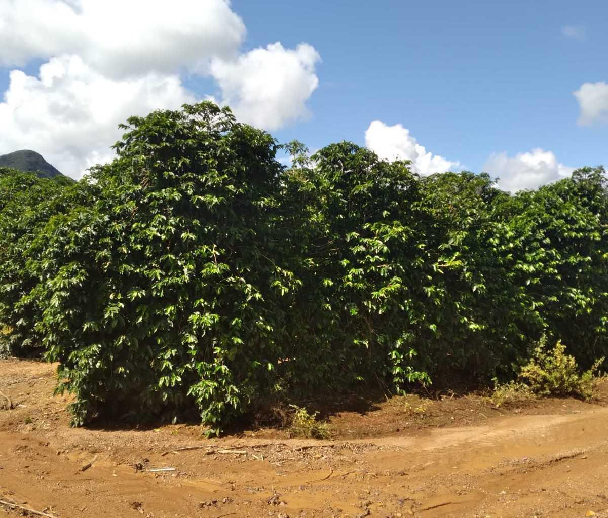 Fazenda, Zona Rural, 1 Quarto, 0 Vaga