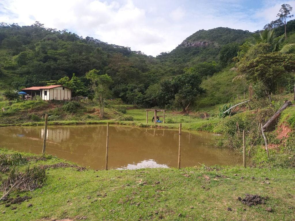 Fazenda, Centro, 3 Quartos, 0 Vaga, 1 Suíte