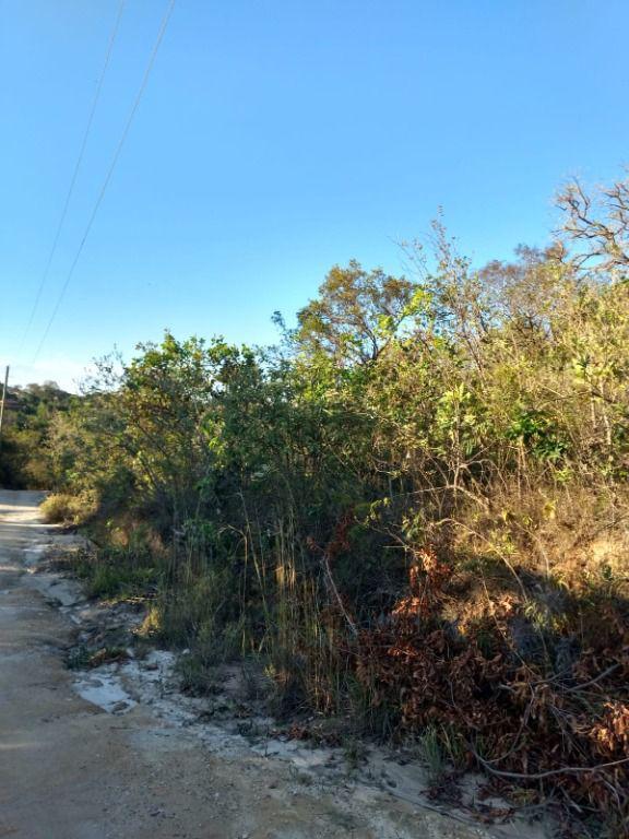 Lote, Ravena, 0 Quarto, 0 Vaga