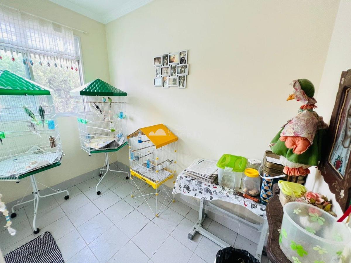Apartamento, Jardim Atlântico, 4 Quartos, 2 Vagas, 1 Suíte