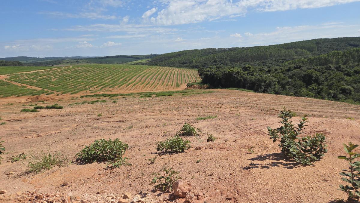 Fazenda, Zona Rural, 0 Quarto, 0 Vaga