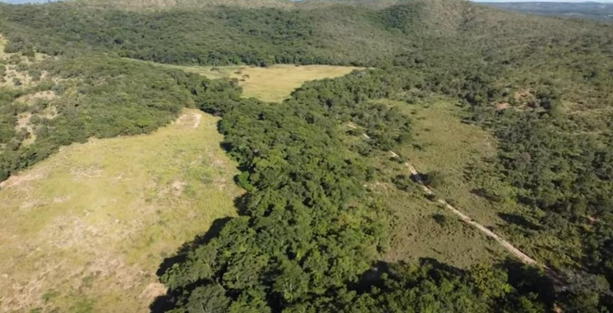Fazenda, Centro, 4 Quartos, 0 Vaga