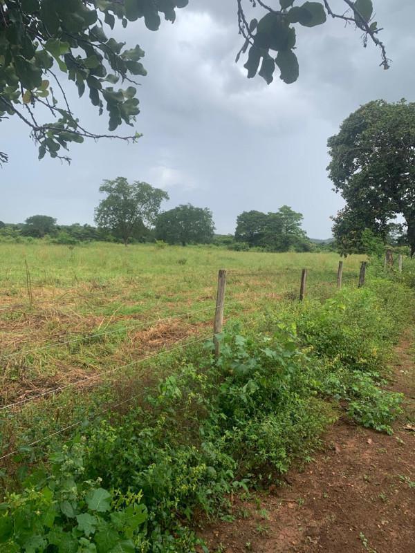 Fazenda, Zona Rural, 0 Quarto, 0 Vaga