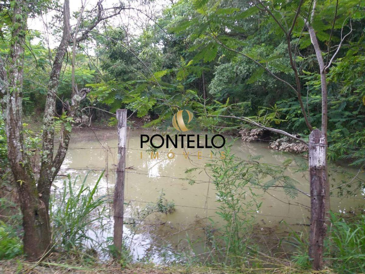 Lote, Vereda, 0 Quarto, 0 Vaga