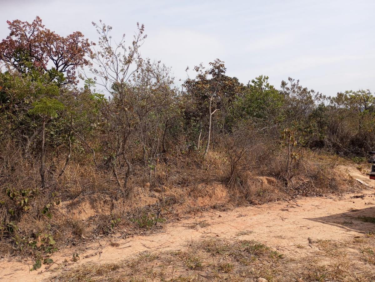 Lote, Zona Rural, 0 Quarto, 0 Vaga