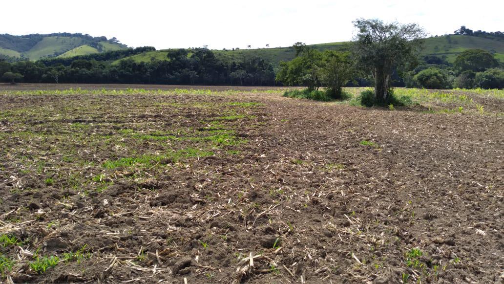 Fazenda, Dos Campos, 3 Quartos, 5 Vagas