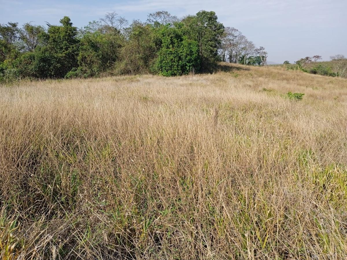 Fazenda, Zona Rural, 0 Quarto, 0 Vaga