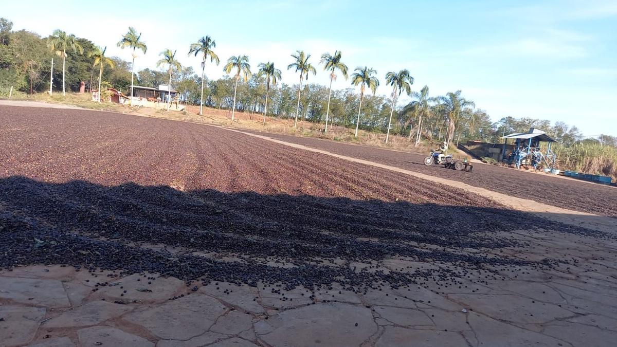 Fazenda, Zona Rural, 3 Quartos, 0 Vaga