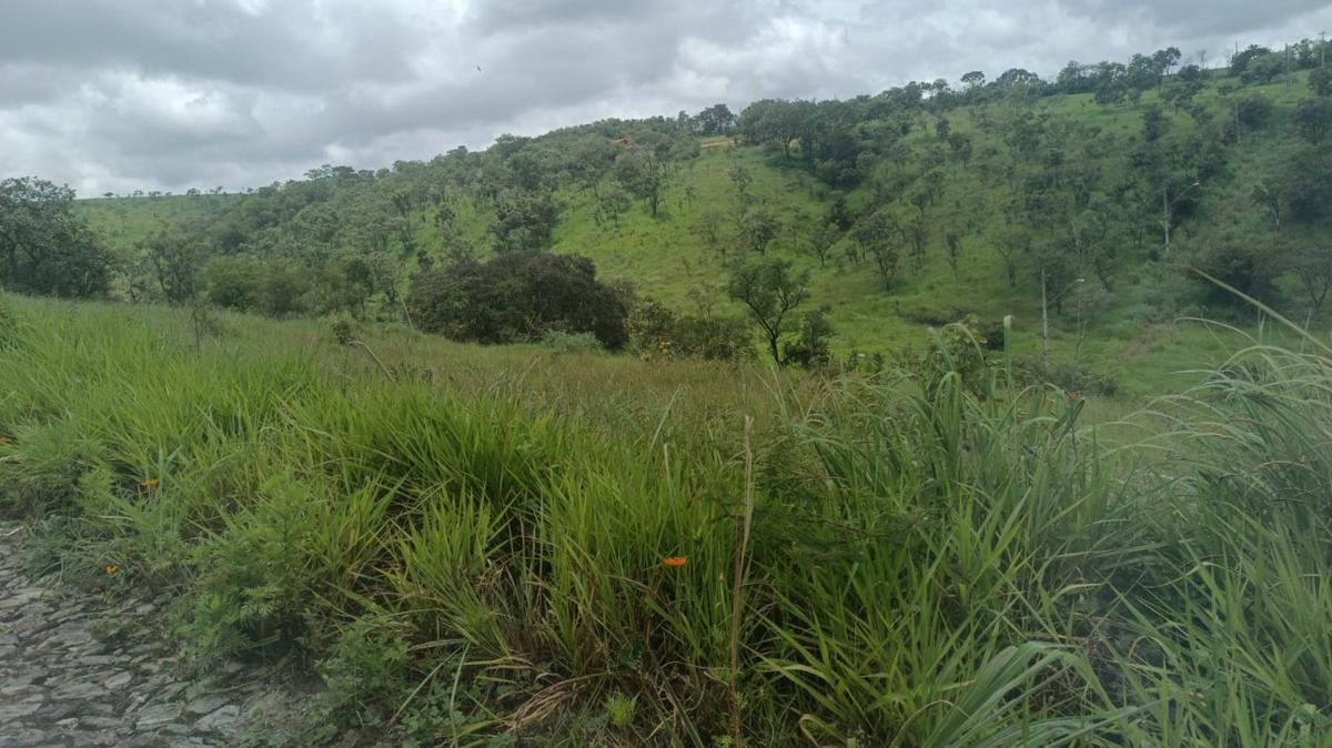 Lote, Presidente, 0 Quarto, 0 Vaga