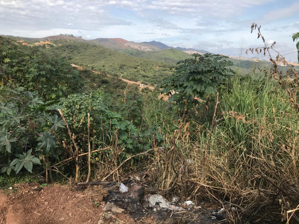 Lote, Vila Rica, 0 Quarto, 0 Vaga