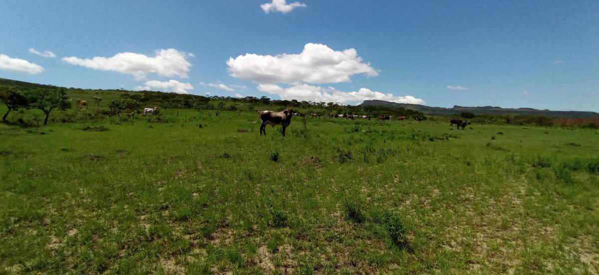 Fazenda, Zona Rural, 0 Quarto, 0 Vaga