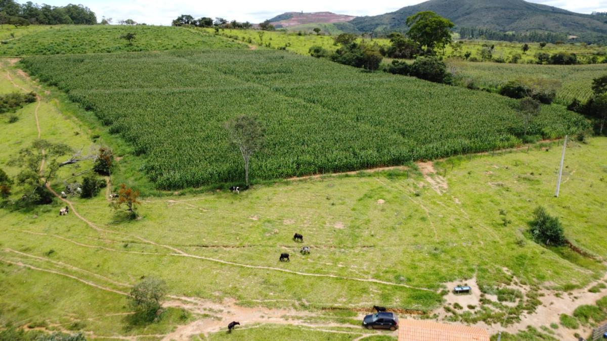 Fazenda, Zona Rural, 0 Quarto, 0 Vaga