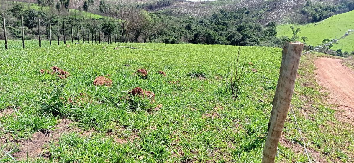 Fazenda, Zona Rural, 0 Quarto, 0 Vaga