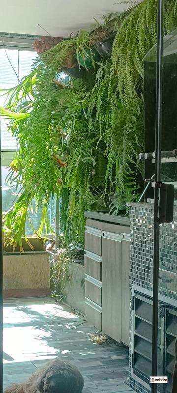 Apartamento, Dona Clara, 4 Quartos, 2 Vagas, 2 Suítes