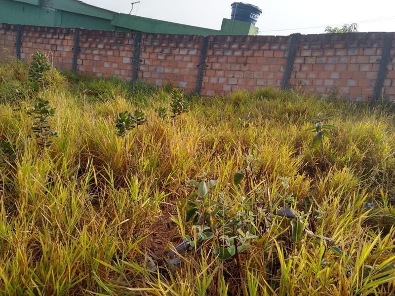 Lote, Icaivera, 0 Quarto, 0 Vaga