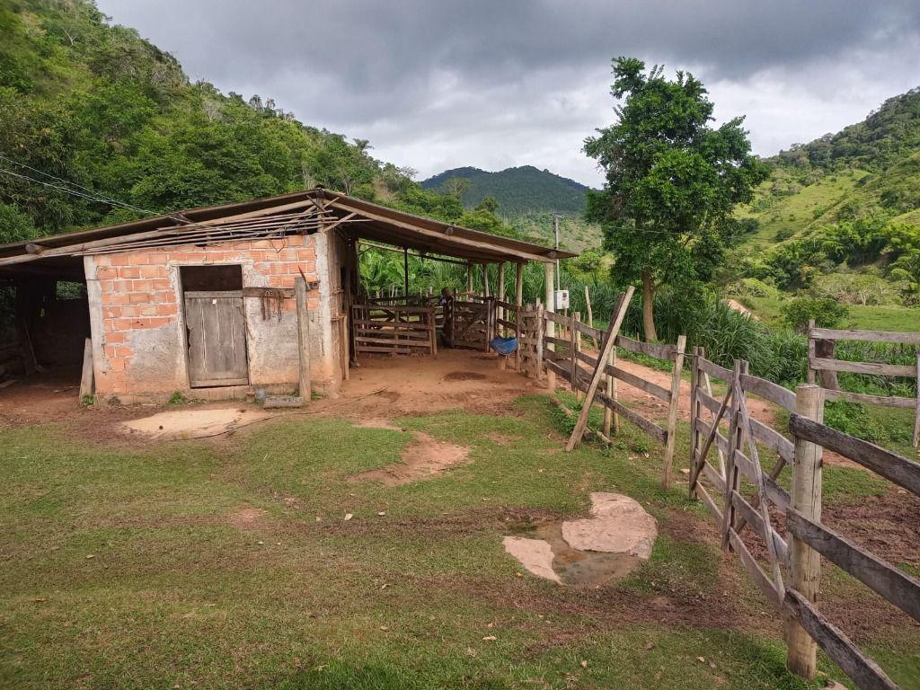 Fazenda, Centro, 3 Quartos, 0 Vaga, 1 Suíte