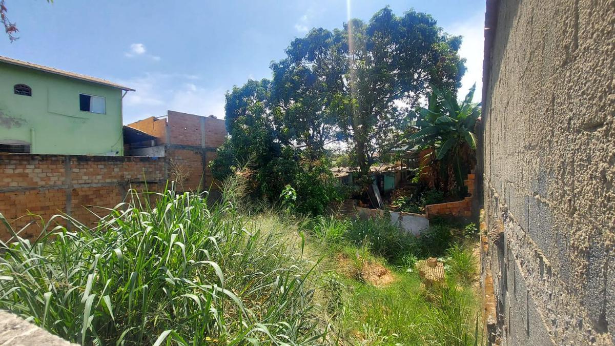 Lote, Santa Cruz, 0 Quarto, 0 Vaga