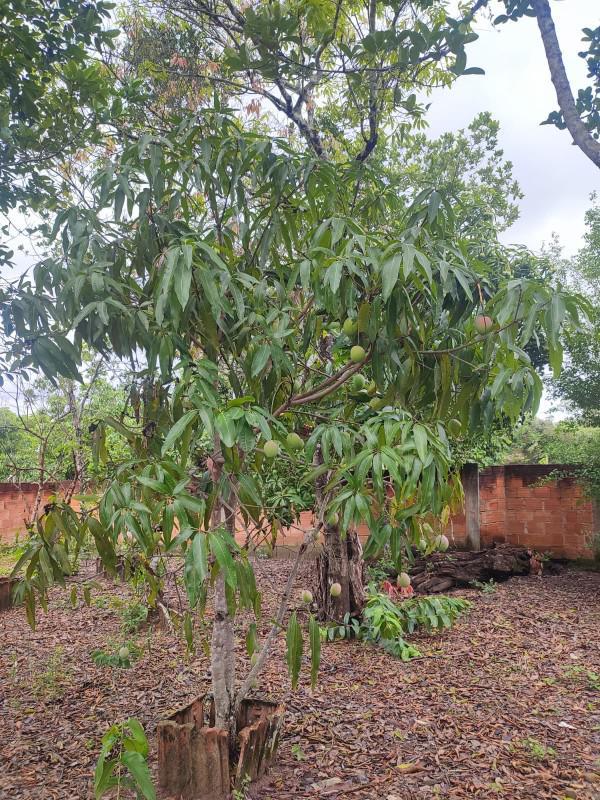 Fazenda, Centro, 2 Quartos, 15 Vagas