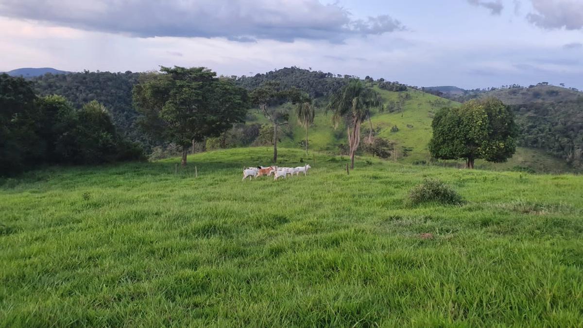 Fazenda, Centro, 3 Quartos, 0 Vaga, 2 Suítes