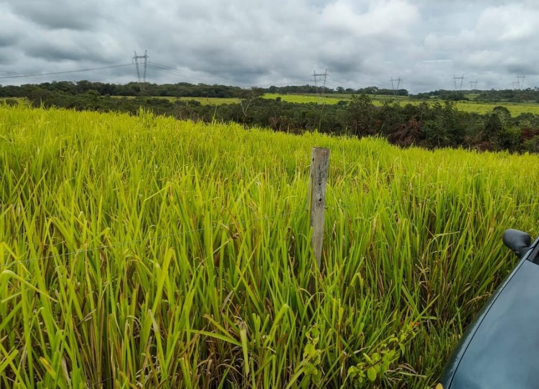 Fazenda, Zona Rural, 5 Quartos, 0 Vaga