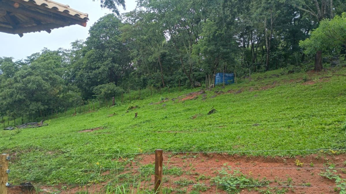 Fazenda, Centro, 3 Quartos, 100 Vagas