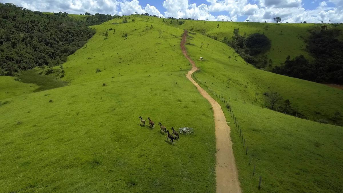 Fazenda, Centro, 1 Quarto, 1 Vaga