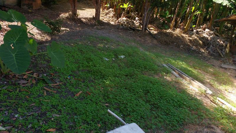 Lote, Alvorada, 0 Quarto, 0 Vaga