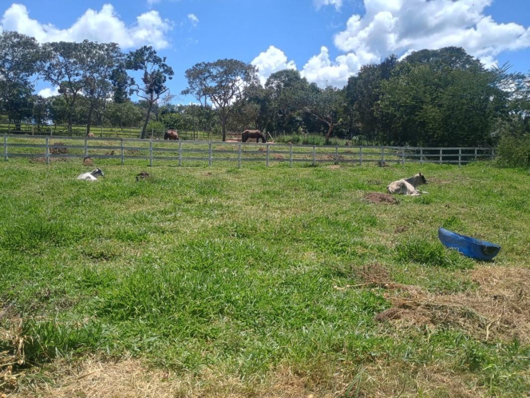 Fazenda, Zona Rural, 0 Quarto, 0 Vaga
