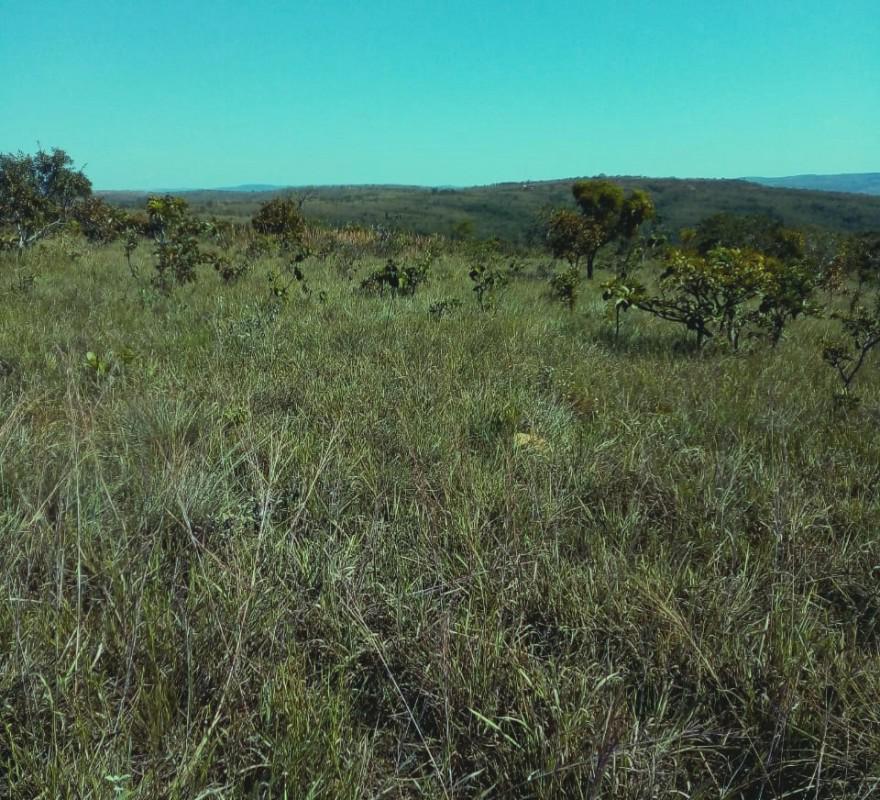 Fazenda, Zona Rural, 0 Quarto, 0 Vaga