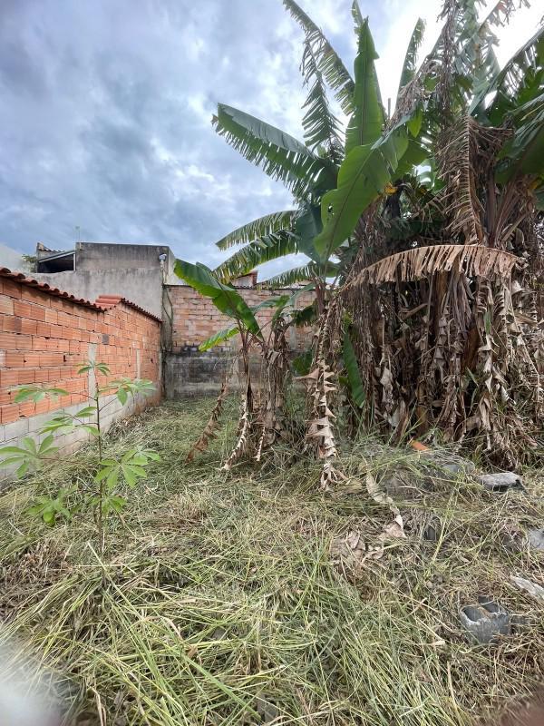 Lote, Bom Jardim, 0 Quarto, 0 Vaga