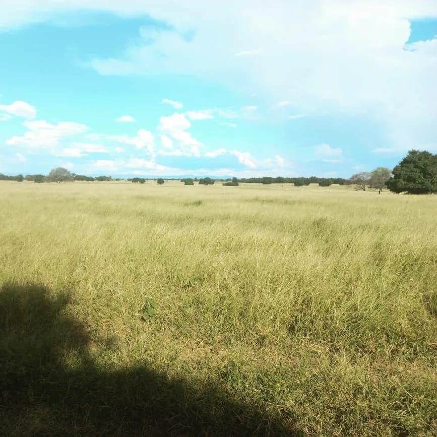 Fazenda, Zona Rural, 2 Quartos, 0 Vaga