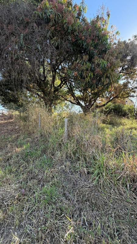 Lote, Centro, 0 Quarto, 0 Vaga